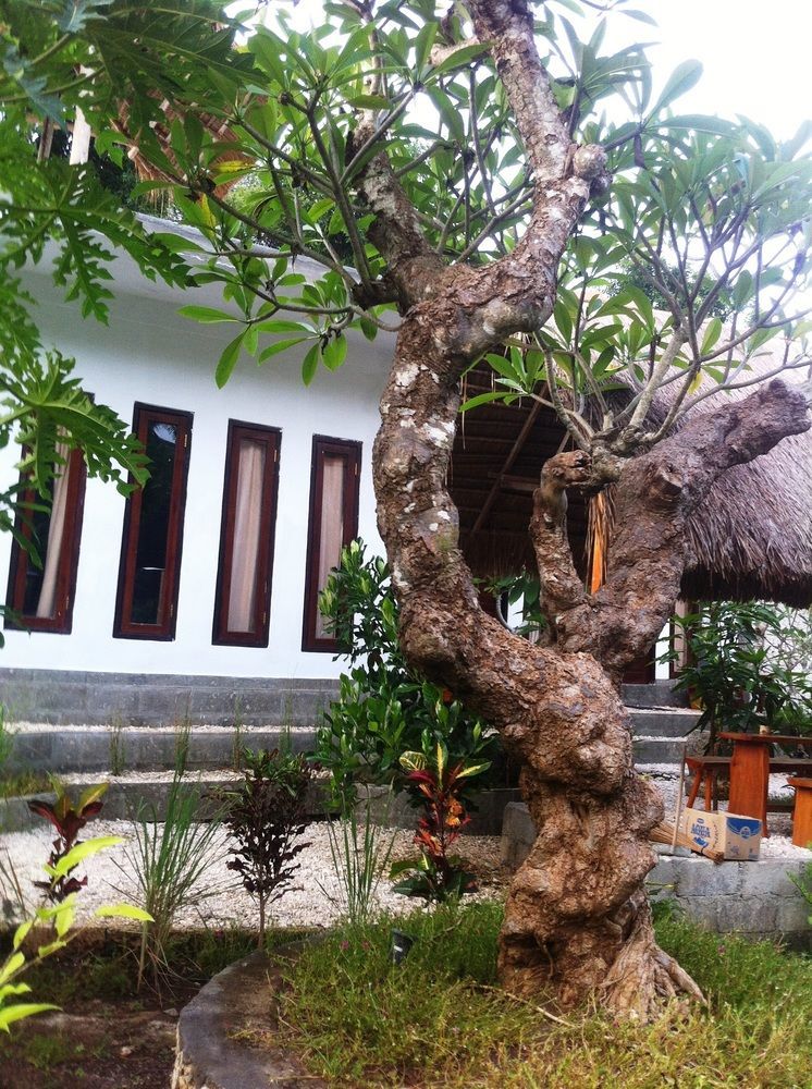 Ped Villa Green House מראה חיצוני תמונה