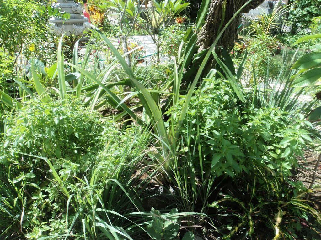 Ped Villa Green House מראה חיצוני תמונה