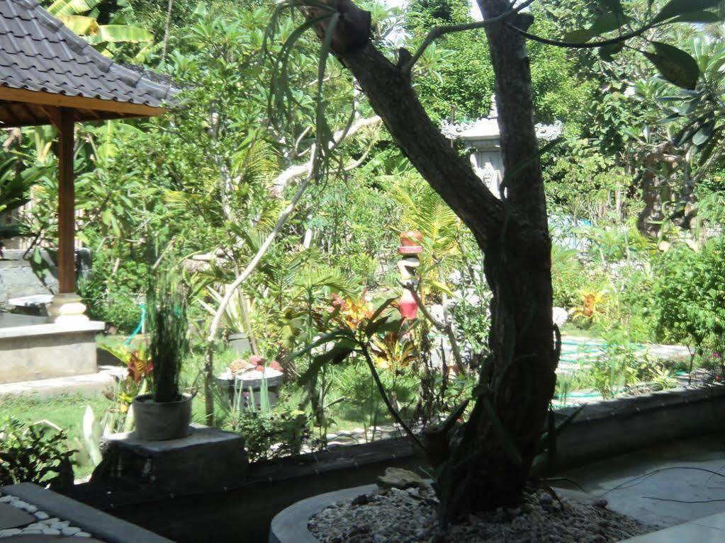 Ped Villa Green House מראה חיצוני תמונה