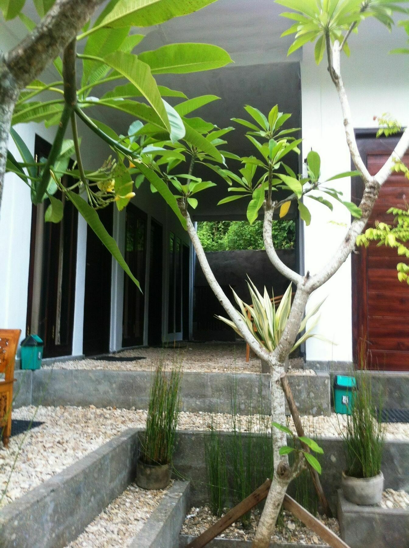 Ped Villa Green House מראה חיצוני תמונה