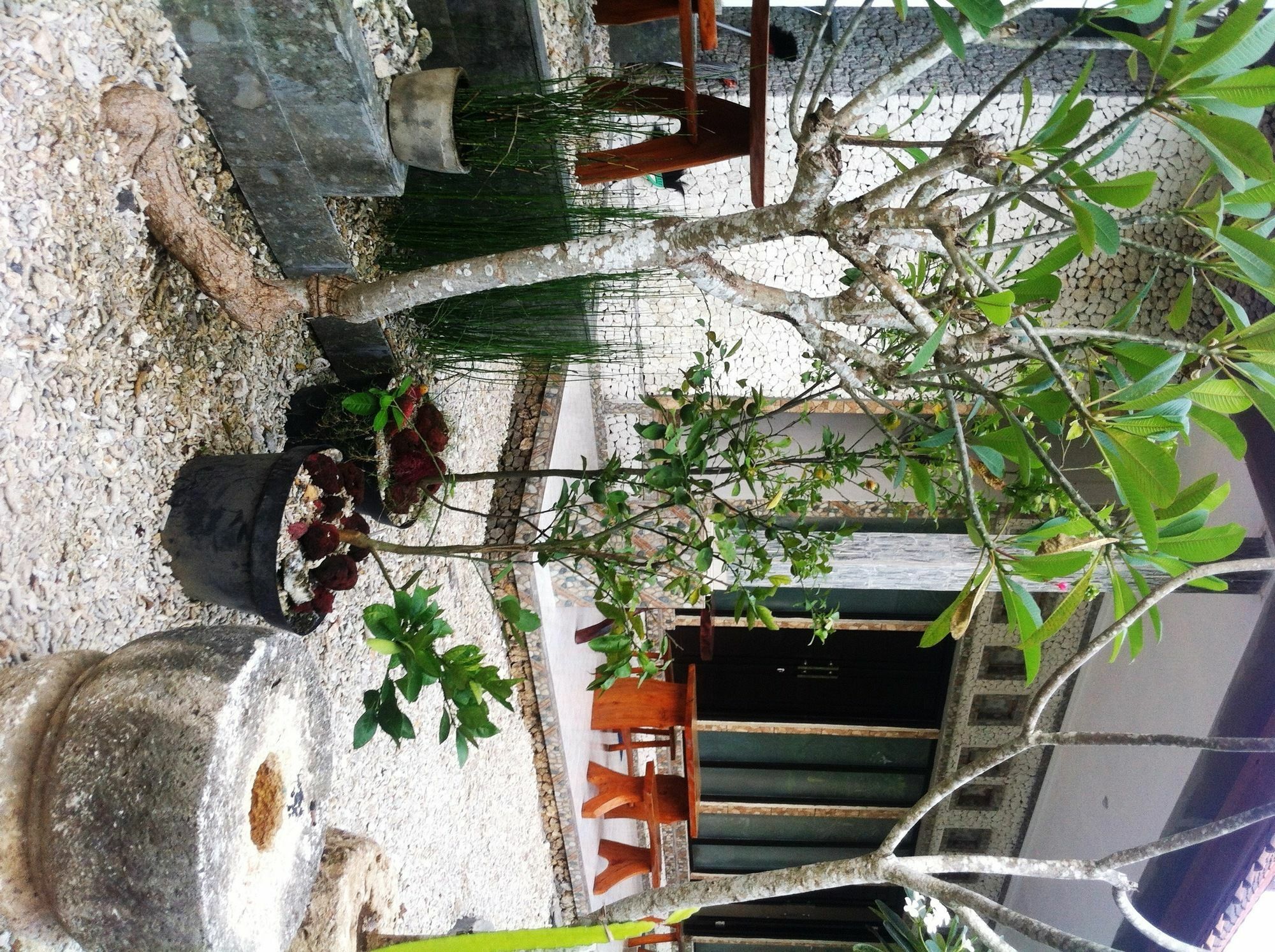 Ped Villa Green House מראה חיצוני תמונה