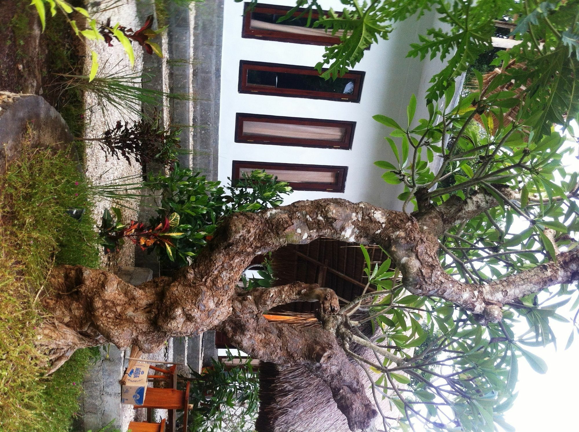 Ped Villa Green House מראה חיצוני תמונה